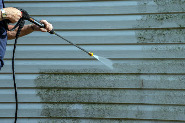 Best Sidewalk and Walkway Pressure Cleaning in Stirling, NJ